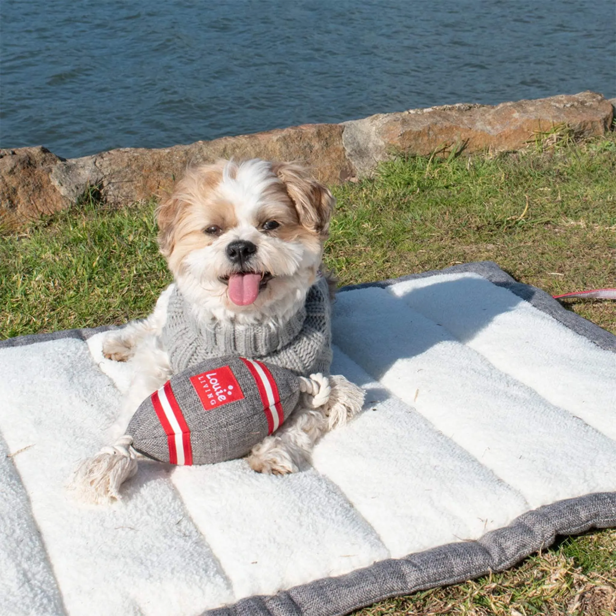 Grey Voyager Dog Travel Mat