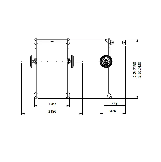 JORDAN Wall Mounted Gym Rack