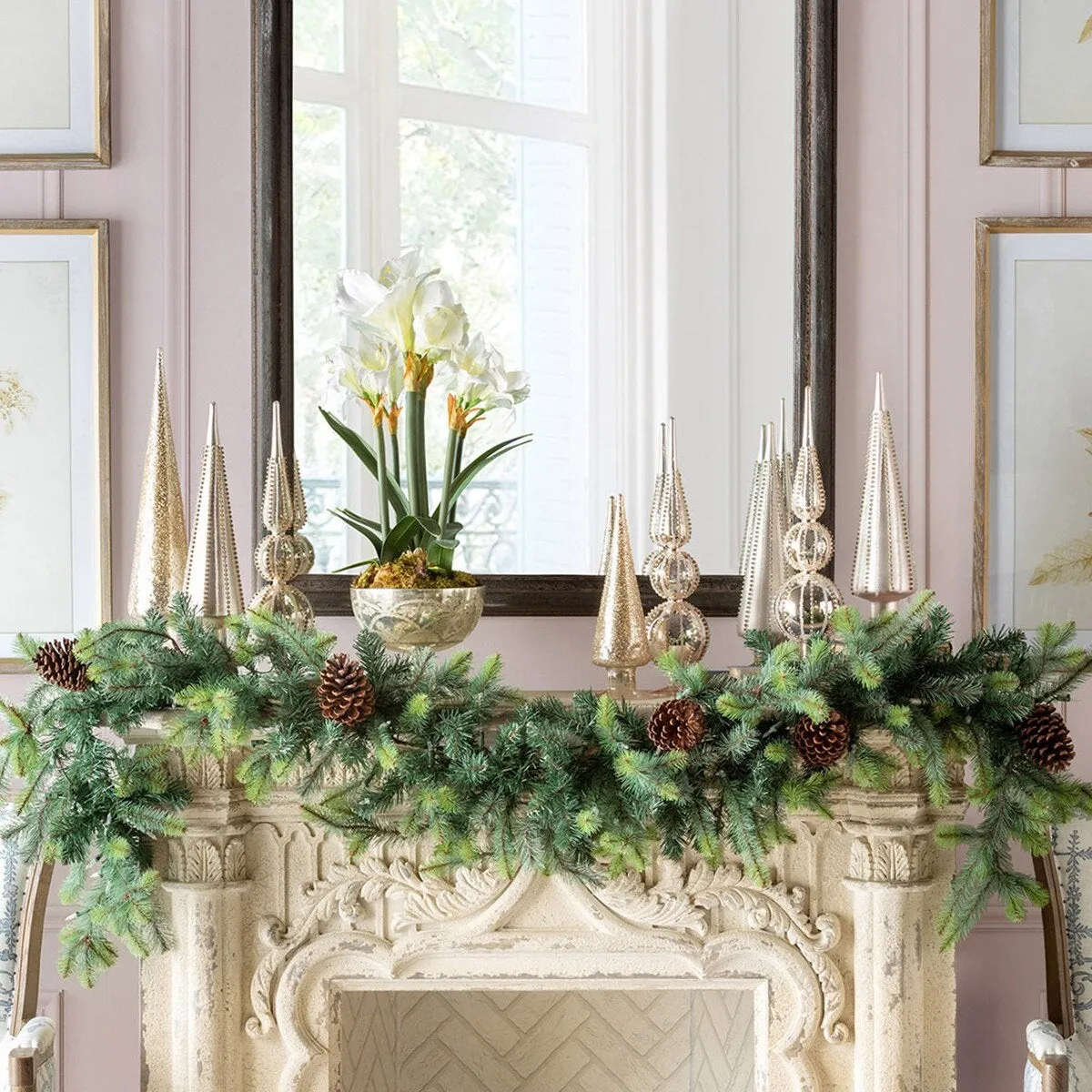 White Amaryllis Bulb